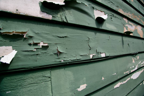 Best Engineered Wood Siding  in Hawthorne, CA