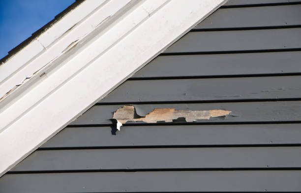 Affordable siding repair and maintenance services in Hawthorne, CA